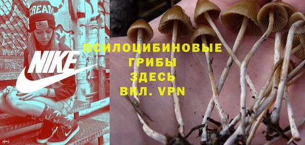 МДПВ Абаза