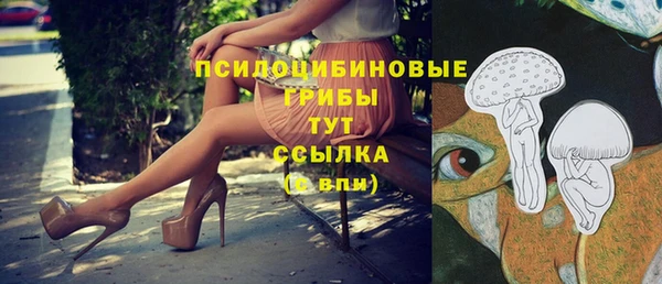 МДПВ Абаза