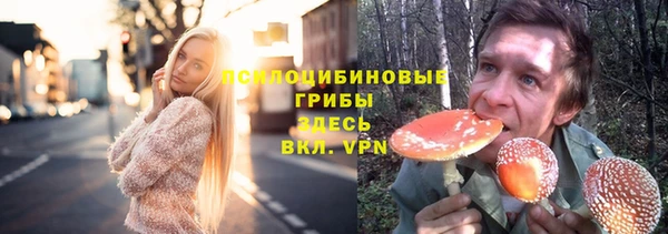 МДПВ Абаза